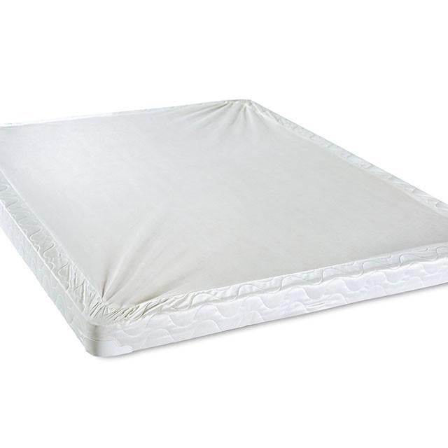 Bird Of Paradise 4" Foundation - Time 2 Sleep (West Covina, CA)