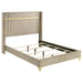 Lucia Eastern King & Queen Bed Beige & Grey - Time 2 Sleep (West Covina, CA)