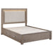 Kenora California King, E.king, & Queen Bed - Time 2 Sleep (West Covina, CA)