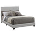 Dorian Upholstered California King, E.King, & Queen Bed Black, Brown, & Grey - Time 2 Sleep (West Covina, CA)