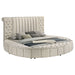 Sonya Eastern King & Queen Bed - Time 2 Sleep (West Covina, CA)