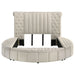 Sonya Eastern King & Queen Bed - Time 2 Sleep (West Covina, CA)