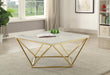 Elana Rectangle 2-shelf Coffee Table Glossy White - Time 2 Sleep (West Covina, CA)