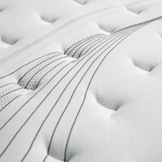 AFTON White/Gray 12" Euro Box Pocket Coil, Cal.King, E king, Full, & Queen - Time 2 Sleep (West Covina, CA)