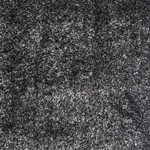 Annmarie Black 5' X 8' Area Rug - Time 2 Sleep (West Covina, CA)