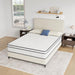 Catmint 10" Full Innerspring Mattress - Time 2 Sleep (West Covina, CA)