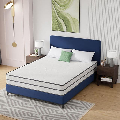 Catmint Mattress - Time 2 Sleep (West Covina, CA)