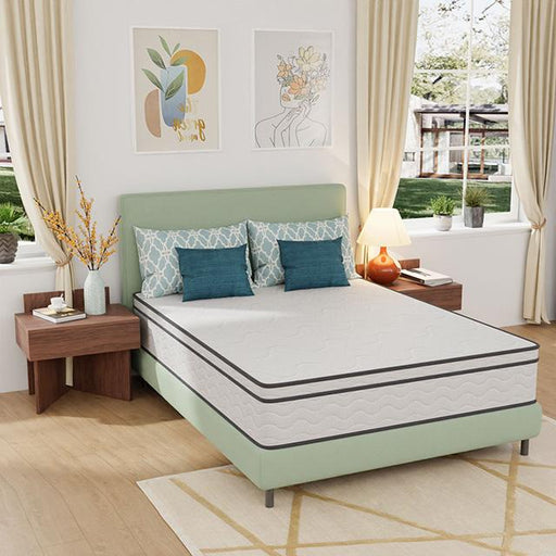 Catmint Mattress - Time 2 Sleep (West Covina, CA)