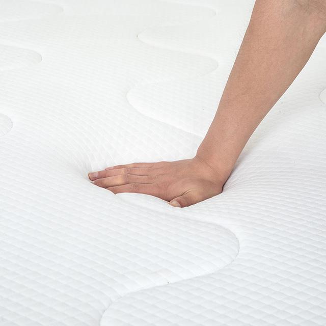 Catmint Mattress - Time 2 Sleep (West Covina, CA)