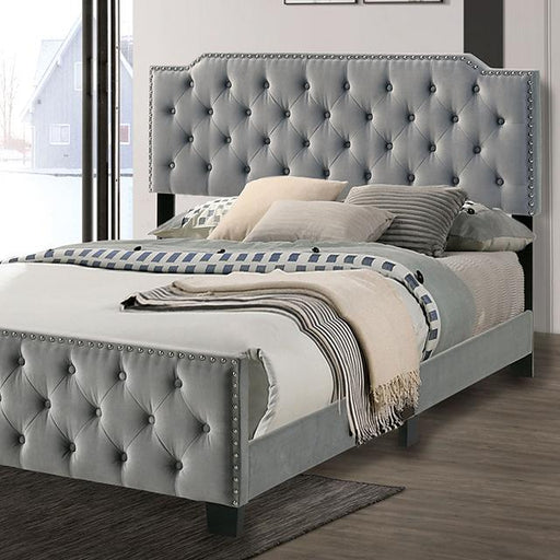 Charlize Bed Grey & Navy - Time 2 Sleep (West Covina, CA)