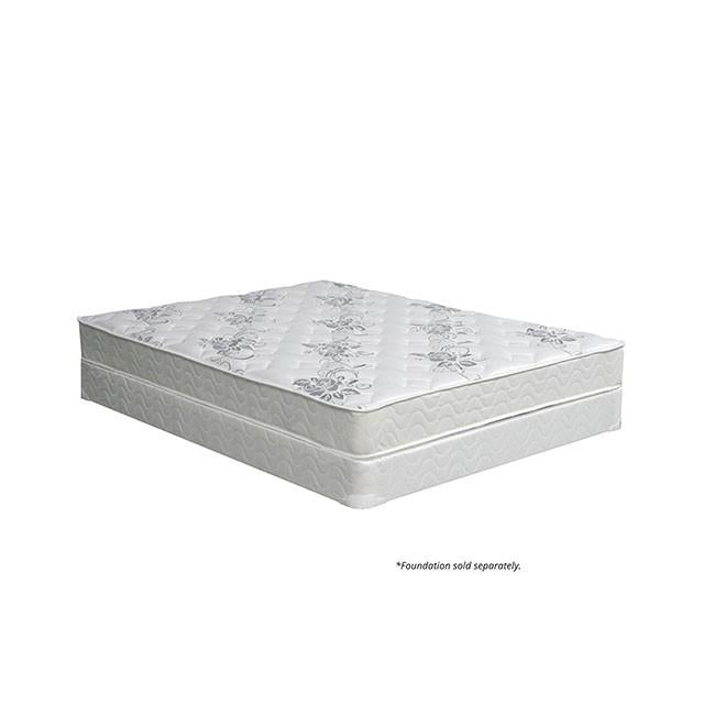 Elbertyna 8 Tight Top Mattress (Non-Flip) - Time 2 Sleep (West Covina, CA)