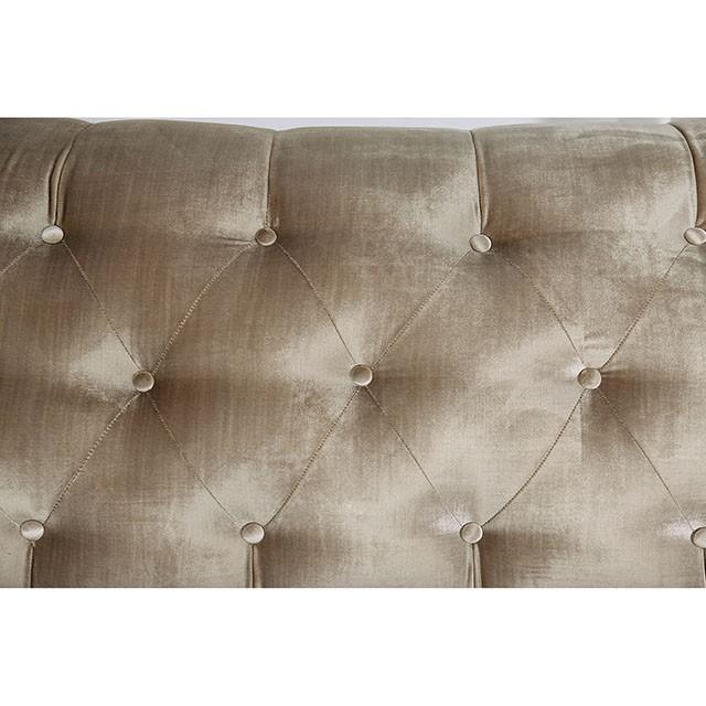 ELICIA Loveseat - Time 2 Sleep (West Covina, CA)