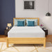 Coreopsis 12" Queen Memory Foam Wave Comfort - Time 2 Sleep (West Covina, CA)