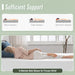 Coreopsis 12" Twin Memory Foam Wave Comfort - Time 2 Sleep (West Covina, CA)