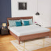 Coreopsis 8" E.King Memory Foam Wave Comfort - Time 2 Sleep (West Covina, CA)