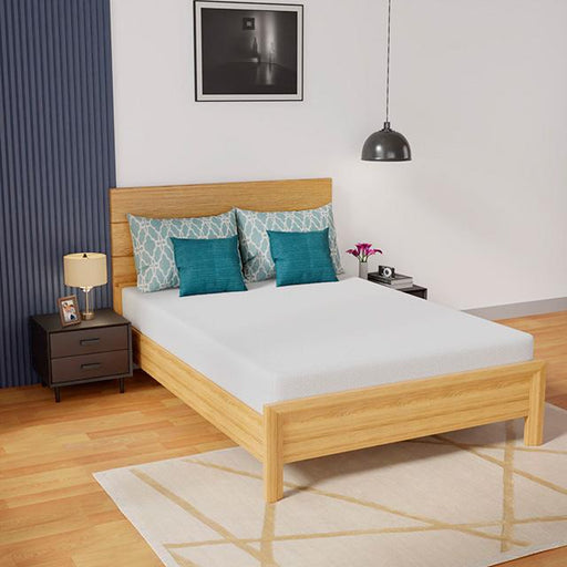 Coreopsis 8" Full Memory Foam Wave Comfort - Time 2 Sleep (West Covina, CA)