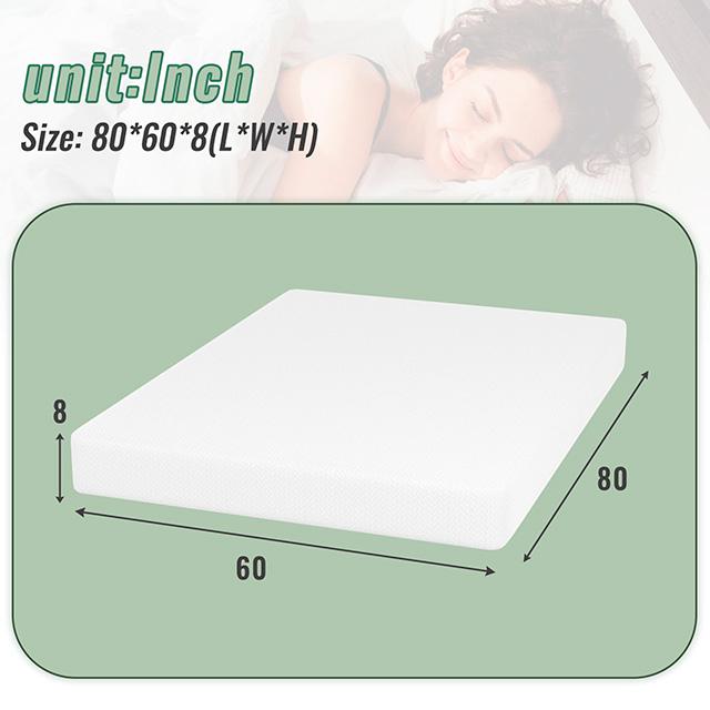 Coreopsis 8" Queen Memory Foam Wave Comfort - Time 2 Sleep (West Covina, CA)