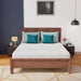 Coreopsis 8" Queen Memory Foam Wave Comfort - Time 2 Sleep (West Covina, CA)