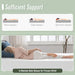 Coreopsis 8" Full Memory Foam Wave Comfort - Time 2 Sleep (West Covina, CA)