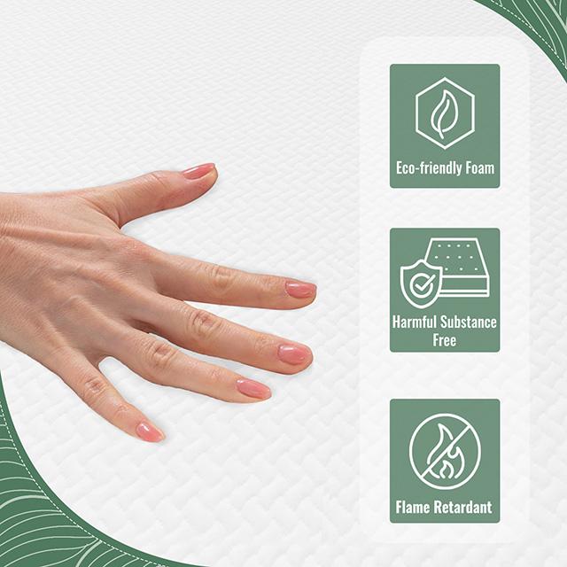 Coreopsis 8" Queen Memory Foam Wave Comfort - Time 2 Sleep (West Covina, CA)