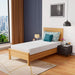 Coreopsis 8" Twin Memory Foam Wave Comfort - Time 2 Sleep (West Covina, CA)