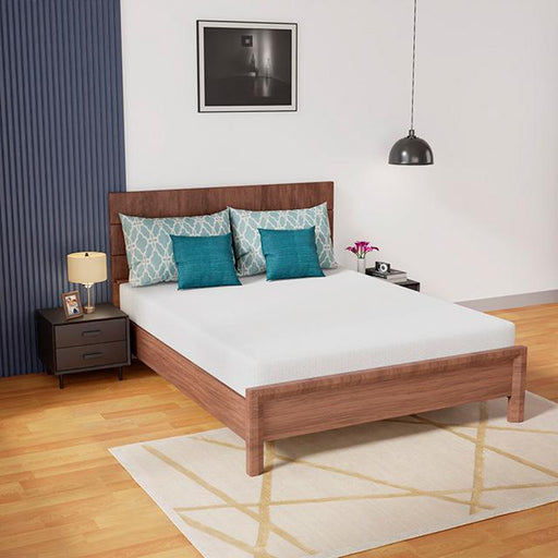 Coreopsis Mattress - Time 2 Sleep (West Covina, CA)