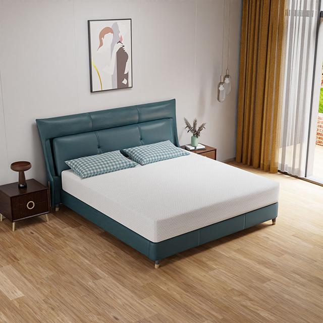 Forsythia 10" E.King Green Tea Gel Memory Foam - Time 2 Sleep (West Covina, CA)
