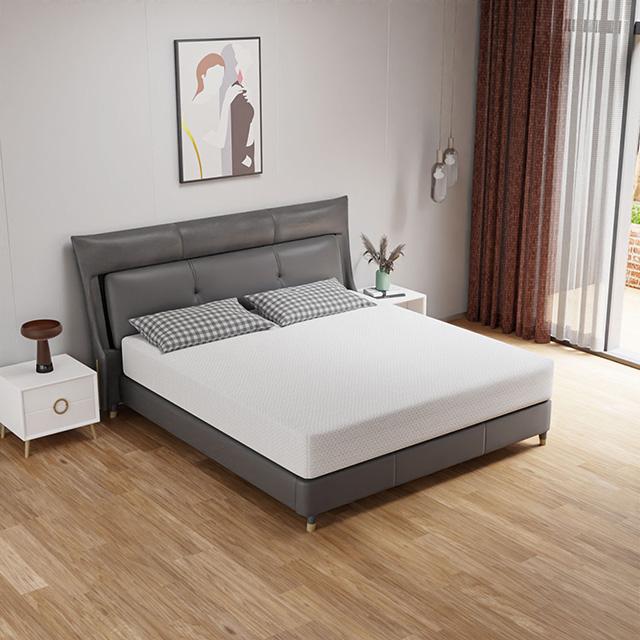 Forsythia 10" Queen Green Tea Gel Memory Foam - Time 2 Sleep (West Covina, CA)
