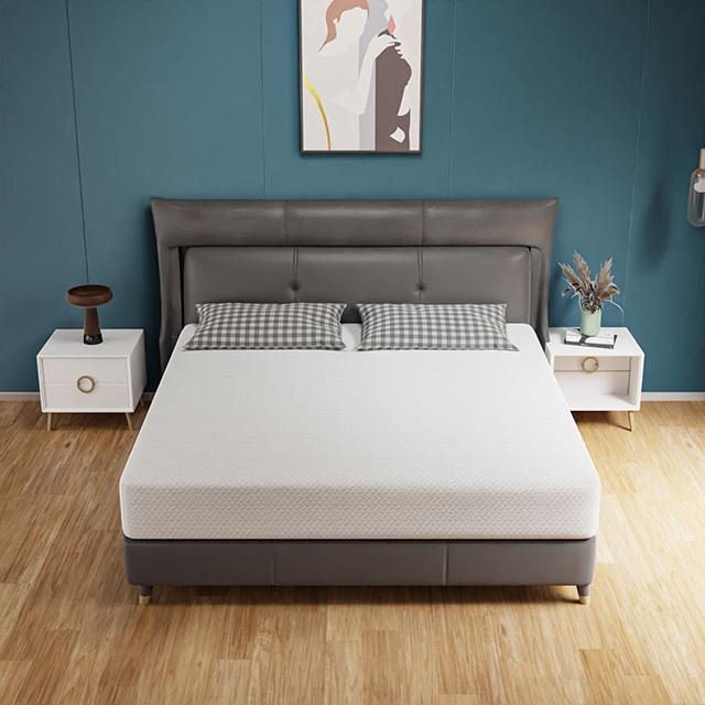 Forsythia 10" Queen Green Tea Gel Memory Foam - Time 2 Sleep (West Covina, CA)