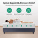 Forsythia 12" Queen Green Tea Gel Memory Foam - Time 2 Sleep (West Covina, CA)
