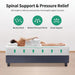 Forsythia Mattress - Time 2 Sleep (West Covina, CA)