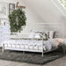 IRIA Vintage White Cal.King, E.King, & Full Bed - Time 2 Sleep (West Covina, CA)