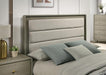 Rainier Queen Bedroom Set - Time 2 Sleep (West Covina, CA)
