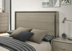 Rainier Queen Bedroom Set Gray - Time 2 Sleep (West Covina, CA)