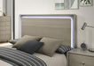 Rainier Queen Bedroom Set Gray - Time 2 Sleep (West Covina, CA)