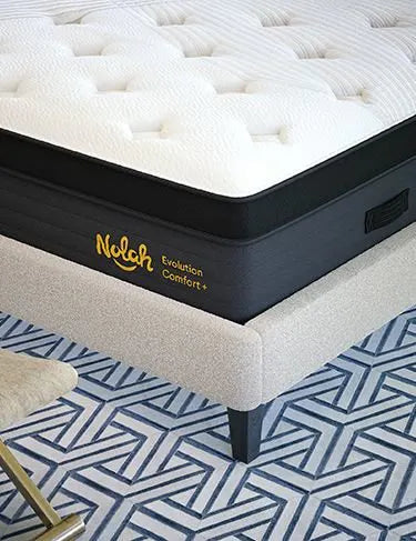 Nolah Evolution Mattress