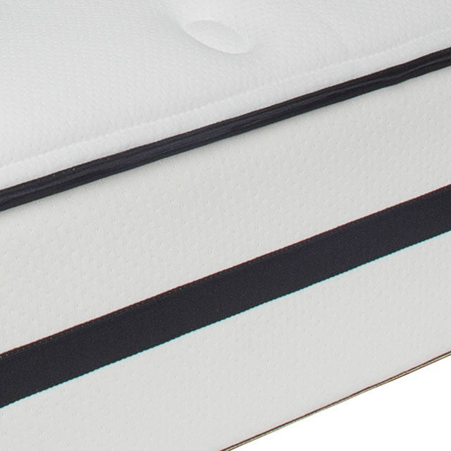 Kastel Queen Mattress - Time 2 Sleep (West Covina, CA)