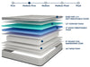 Salvia 12" Full Hybrid Pocket Coil Mattress - Time 2 Sleep (West Covina, CA)