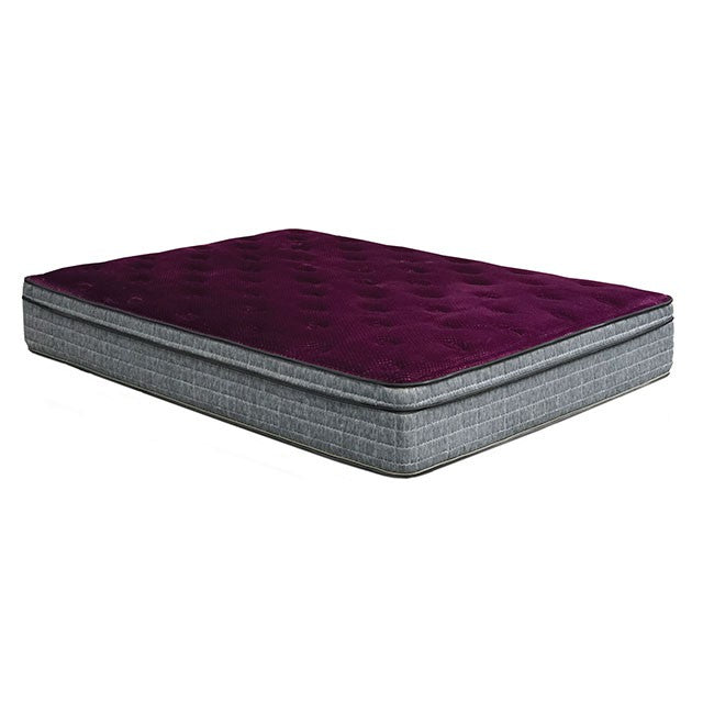 Minnetonka 13" Euro Pillow Top Mattress - Time 2 Sleep (West Covina, CA)