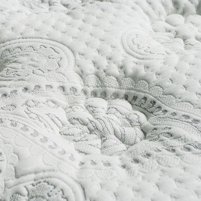 SIDDALEE White/Gray 16" Euro Pillow Top Mattress, Queen - Time 2 Sleep (West Covina, CA)