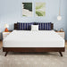 Nasturtium 10" E.King Bamboo Charcoal Infused Memory Foam - Time 2 Sleep (West Covina, CA)
