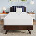 Nasturtium 10" Twin Bamboo Charcoal Infused Memory Foam - Time 2 Sleep (West Covina, CA)