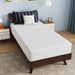 Nasturtium 10" Twin Bamboo Charcoal Infused Memory Foam - Time 2 Sleep (West Covina, CA)