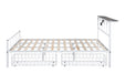Nicoli Queen Metal Bed With Underbed Storage - Time 2 Sleep (West Covina, CA)