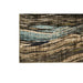 Kelowna Area Rug - Time 2 Sleep (West Covina, CA)